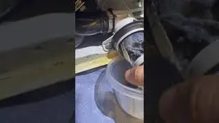 My washer is not draining or spinning