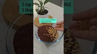 Healthy Ragi Dosa | High Calcium & Iron | Quick Recipe