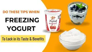 How to Freeze Yogurt 101: Tips to Lock in Taste