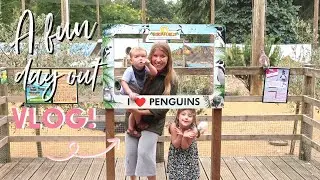 SUMMER FAMILY DAY OUT VLOG | BIRDWORLD | AD