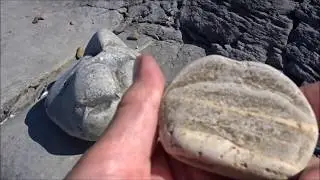 Kilve Beach & Coastal Walk, PARTS XIX& XX'Back On Kilve Beach' by Sheila, July 9th 2018