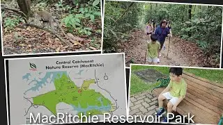 ZiZi: 2025_MacRitchie Reservoir Park 走走山