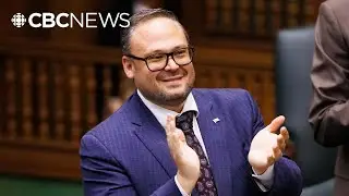 Ont. MPP in Doug Ford's caucus dropped after assault charge