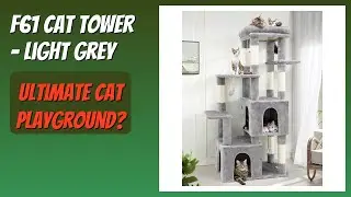REVIEW (2025): F61 Cat Tower - Light Grey. Features