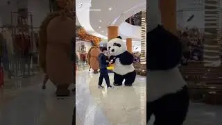 PANDA Prank #prank #shorts