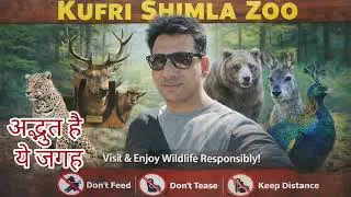 Kufri Shimla Zoo 🐆 | Himalayan Nature Park | Complete Wildlife Tour👉 Kufri Zoo Shimla 🐆&nbsp;#kufri#viral