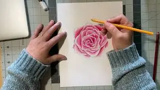 Geometry In Art   Cabbage Roses