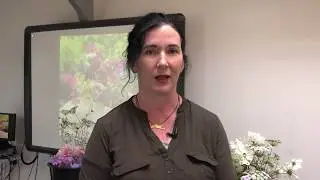 Delta Sensory Gardens