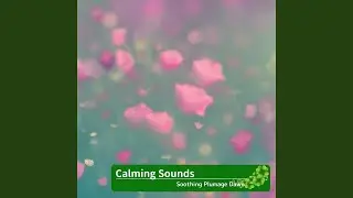 Unruffled Meditation