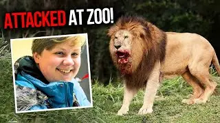 The TRAGIC Story of the Fatal Lion Attack of Zookeeper Alexandria Black