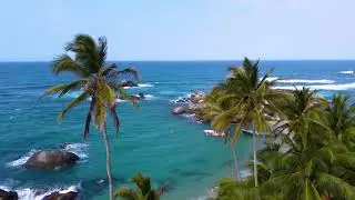 Como Amo A Mi Borinquen #salsapuertorico