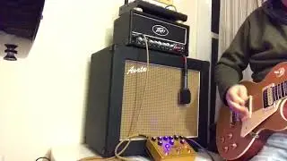 GuitarPCB - NostagiTone 60s - Guitar Demo