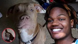 THE VLOGS ARE BACK!! | ThtBoyJ