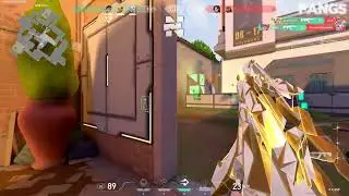 THE BEST UNDETECTED CHEAT VALORANT (ft.Noxy Method)