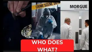 What Happens When Human Remains Are Found | Police, Detectives & Forensic Anthropologists