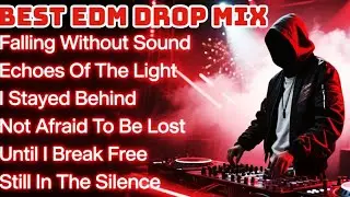 Best EDM Drop 2025 | Alan Walker Style Emotional Mix &ndash; Falling, Echoes, Silence | ZALFARA