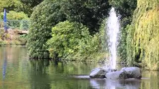 Nikon Coolpix P7800 720p 50fps Video