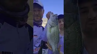 Давил жёстко!#рыбалканакипре#fishing#кипр#bassfishing#cyprusbassfishonf#world#life#action#bigfish#