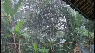 SUPER EXTREME HEAVY RAIN SOUND 🌧️ | Fall Asleep Instantly • Deep Sleep All Night • Loud Rain Noise
