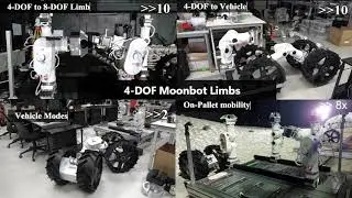 Design and Development of Modular Limbs for Reconfigurable Robots on the Moon