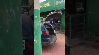 Capivara  no centro de Cuiab&aacute; MT
