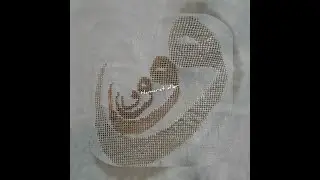 Tel Kırma Çarpı Tekniği (Yavaş Çekim)