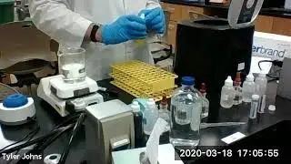 Group IV Carbonates   Qualitative Analysis