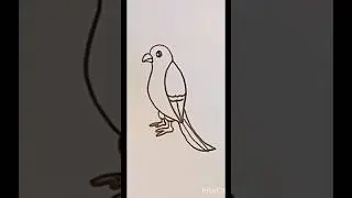 bird drawing easy/eagle drawing #shorts