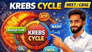 Krebs Cycle Explained Simply | TCA Cycle Made EasyKrebs Cycle in One Shot |kreb cycle in 10min