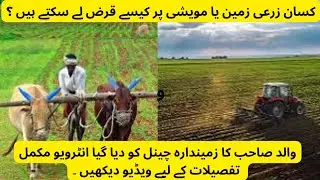 Loan Information on Agriculture Land | Father(Askari Bank Agriculture manager) Interview
