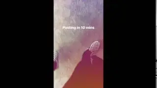 Brandon Rowland Instagram Story 1-10 February 2017