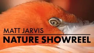 Nature Showreel