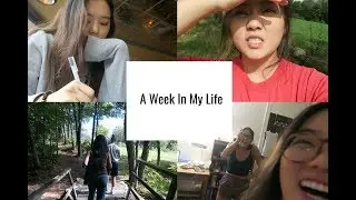 A Week in the Life at an All-Women's College (미국 여자 대학교 - Smith College - 학생 일상 브이로그
