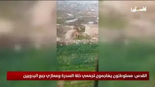 القدس: مستوطنون يهاجمون تجمعي خلة السدرة ومعازي جبع البدويين