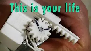 День из жизни Рэнди Рейн