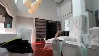 Mudanza de casa en Granada - Proceso paso a paso - Mudanzas Ca&ntilde;adas Granada
