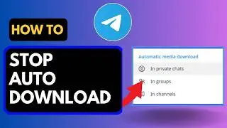 How to Stop Telegram Auto-Downloads on PC (Storage Optimized)