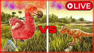 ARK FIGHT NIGHT FESTIVAL! | With The Crew! | !Tangia !Prime !Discord