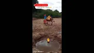 LIVE!! WATER IN THE DESERT; UNBELIEVABLE HOW WE FETCH & DRINK DIRT WATER & WE ARE HEALTHY & HAPPY