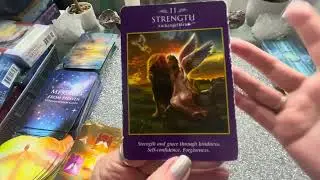 🦋Overall March Weekly Spirit Reading/Messages🦋-POWERFULLY Supporting You! Stronger Spirit!