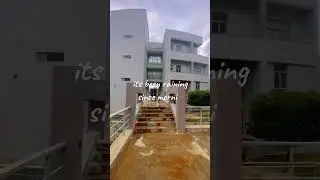 Mini vlog | Life of a university student living alone #shorts #srilanka