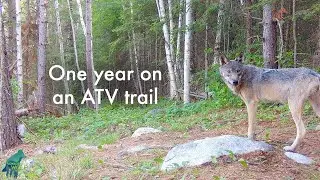 One year on an ATV trail