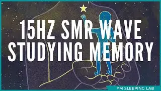 POWER SLEEP || 30 Minutes of SMR waves for SUPER FOCUSED STUDY || Short Clip