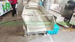 SR Twin screw artificial rice making extruder machine in China