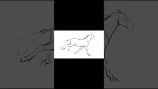 horse running animation #stickman