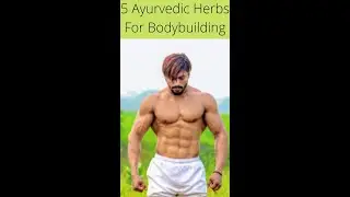 5 Ayurvedic Herbs For Bodybuilding/ #shorts #bodybuilding/ Best Ayurvedic Medicine For Bodybuilding