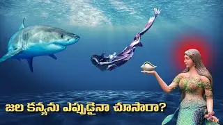 Aquarium Paradise Bengaluru లొ జల కన్యలు🧜🏼‍♀️🐳 మరియు సముద్రం లొ నివసించే జీవులు🐬🐠