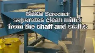 Millet Screening