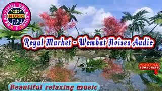 🎵 Beautiful Relaxing Music || Royal Market - Wombat Noises Audio || Beautiful Relaxing Music Channel