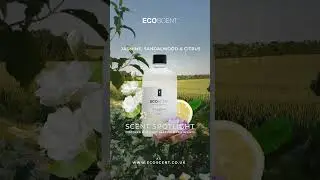 Scent Spotlight Jasmine, Sandalwood & Citrus #home #scentexperience  #ecoscent  #scenting